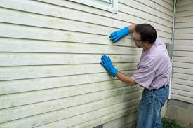 Best Historical Building Siding Restoration  in Reed Creek, GA